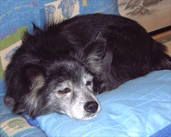 ����܂肭��