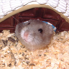 ���H�}��