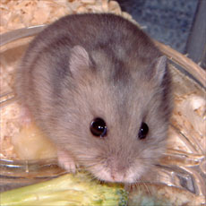 �H���}��