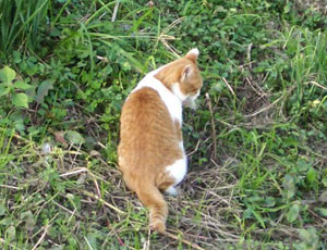 �\��t���l�R