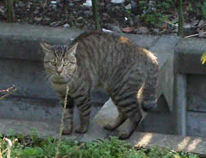 �L�w�ɂȂ�������ˁ[��