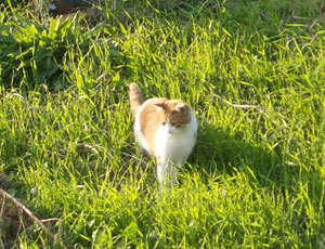 ���܂ɂ͋N���Ă���