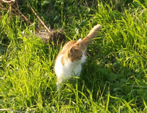 �����Ȃ͈̂�x�������ĂȂ�