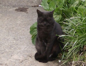 �����E�E�E