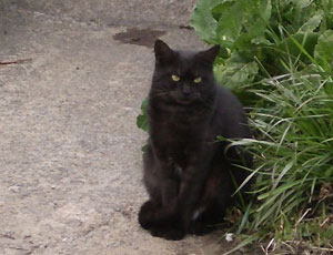 �ł��������Ă邵