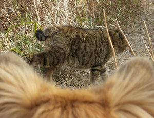 �|���ˁ[��