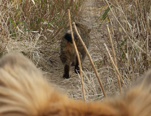 �����ł����Ƃ��Ă��