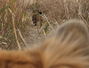 �X���[���[�V�����ŋ����Ă���