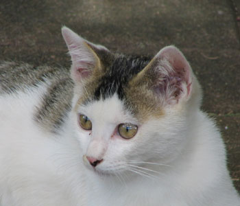 �����^��