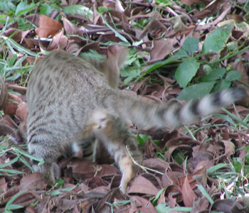 �B���I�B���I