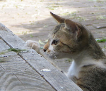 �Ȃ񂩓����Ă�