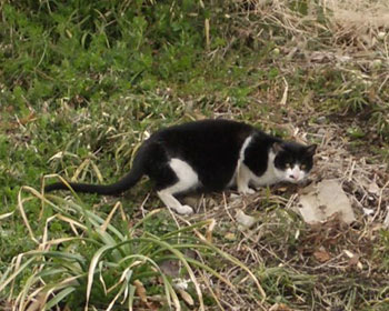 �E�ё��œ�����