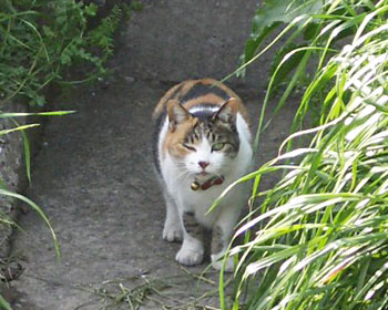 �E�B���N�˂�