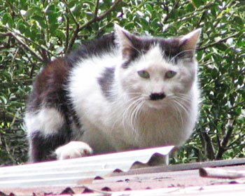 �D�_���C�N