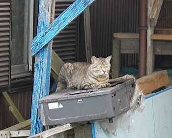 �p����������