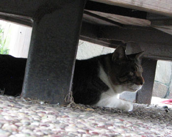 �x���`�̉��ɂ����܂�