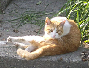 �₾�A�܂����Ă��́H