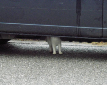 �B��Č��Ă����