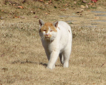 �G������