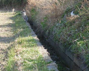 �ŏ��͉�������