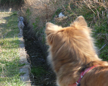 ������������Ă���