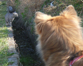 �ł����͌���������A�����ł��悤�Ȃ�