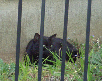 ���l�ł͂Ȃ�