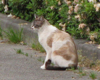 ���[�łڂ���