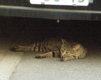 �s�@������