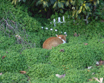 �|�R�|�R�l�R