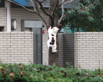 ���񂵂�A���񂵂�