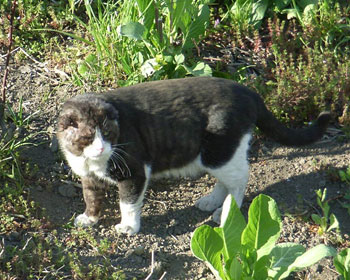 �O��������