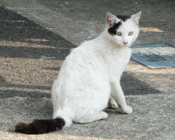 �����l�R