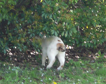 ������l�R