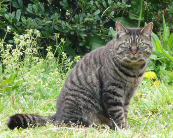 ���Ȃ�������