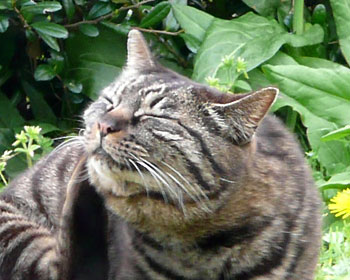 �C��������