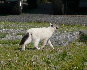 �����͈Ⴄ�̂�����