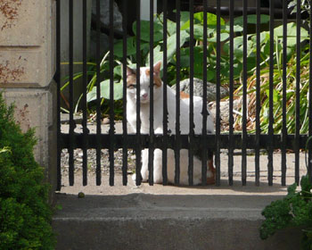 ��Ԃ����Ă���