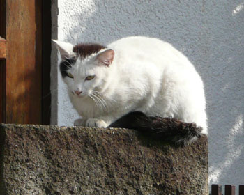 �和���D��