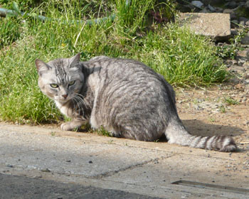 ���[�łɂ��