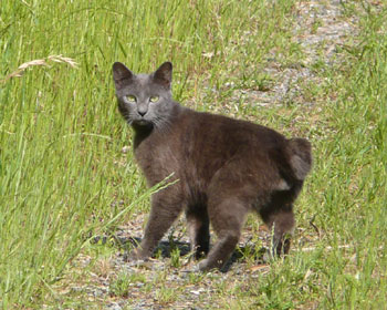 �y�����ɕ����Ă�������Ɍ���