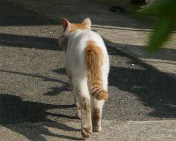 �˂���ǂ���������