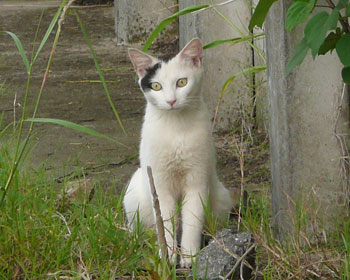 ������˂�