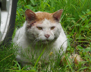 ��������炸�炪����