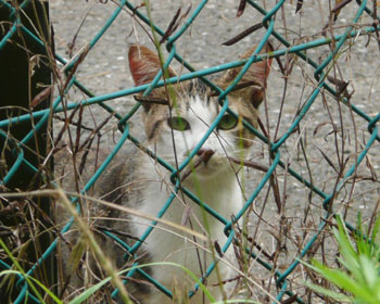 �������΂܂Ŋ���Ă���