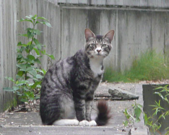 �����ۂ���