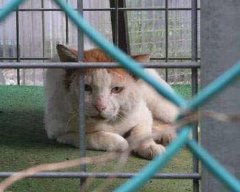 �z�[���Z���^�[�̐�q�ɂ�