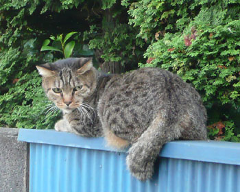 �܂��T���Ă��E�E�E