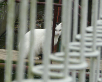 �������I