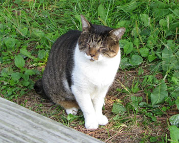 �ڂ̒��q�������񂾂���